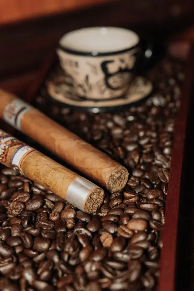 Two cigars on coffee beans beside an espresso cup